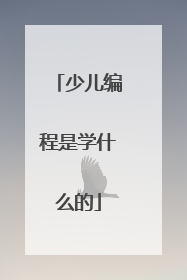 少儿编程是学什么的
