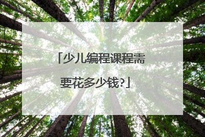 少儿编程课程需要花多少钱?
