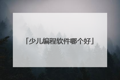 少儿编程软件哪个好