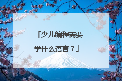 少儿编程需要学什么语言?