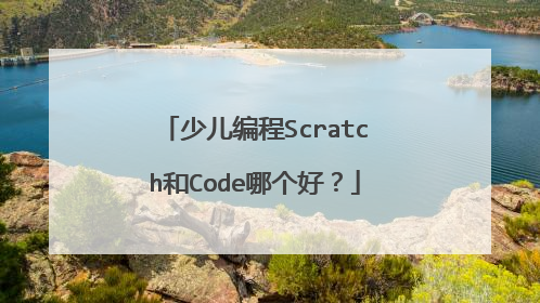 少儿编程Scratch和Code哪个好?