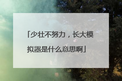 少壮不努力，长大模拟器是什么意思啊