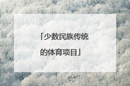 少数民族传统的体育项目