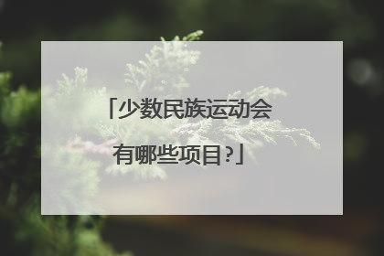 少数民族运动会有哪些项目?