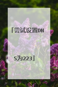 尝试设置DNS为223