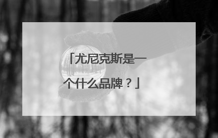 尤尼克斯是一个什么品牌？