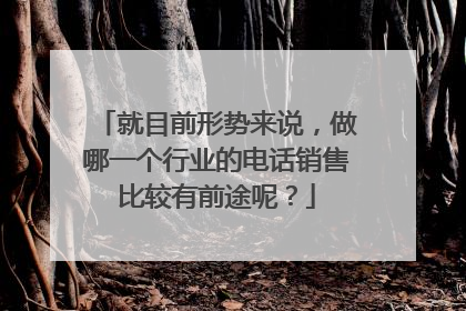 就目前形势来说,做哪一个行业的电话销售比较有前途呢?