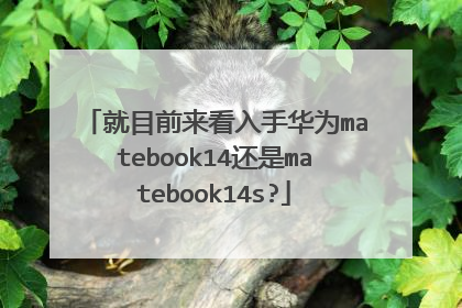 就目前来看入手华为matebook14还是matebook14s?