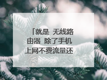 就是 无线路由器 除了手机上网不费流量还能干什么？