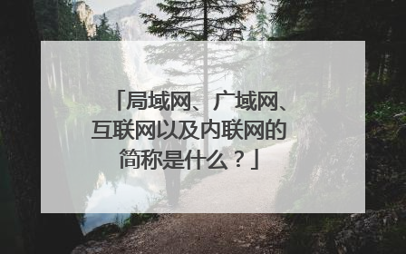 局域网、广域网、互联网以及内联网的简称是什么？