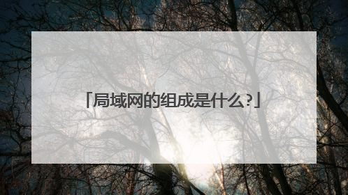 局域网的组成是什么?