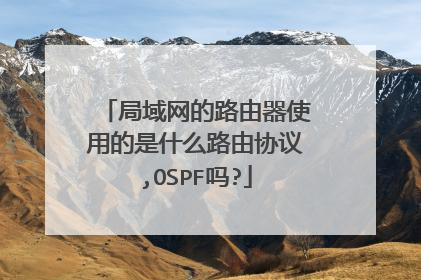 局域网的路由器使用的是什么路由协议,OSPF吗?