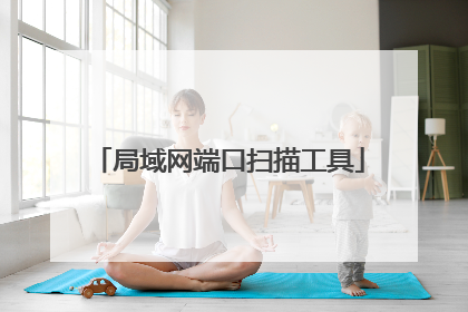 局域网端口扫描工具