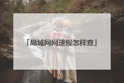 局域网网速慢怎样查