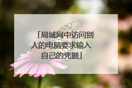 局域网中访问别人的电脑要求输入自己的凭据