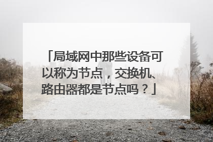 局域网中那些设备可以称为节点，交换机、路由器都是节点吗？