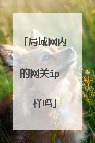 局域网内的网关ip一样吗