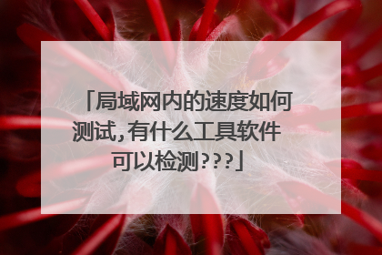 局域网内的速度如何测试,有什么工具软件可以检测???