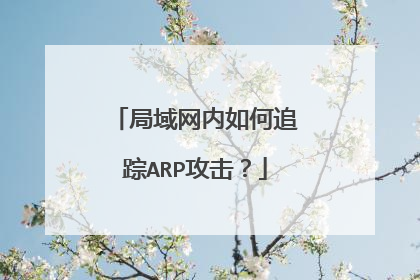 局域网内如何追踪ARP攻击？