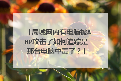 局域网内有电脑被ARP攻击了如何追踪是那台电脑中毒了?