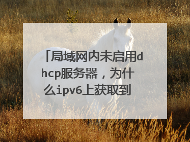 局域网内未启用dhcp服务器，为什么ipv6上获取到dns服务器的？