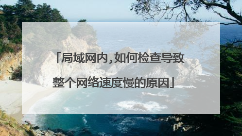 局域网内,如何检查导致整个网络速度慢的原因