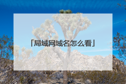 局域网域名怎么看