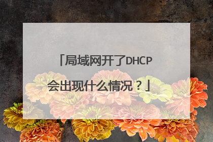 局域网开了DHCP会出现什么情况?