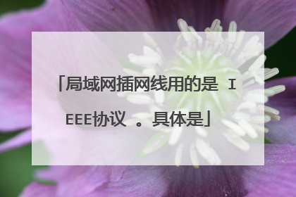 局域网插网线用的是 IEEE协议 。具体是