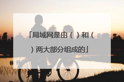 局域网是由()和()两大部分组成的