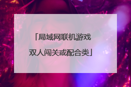 局域网联机游戏 双人闯关或配合类