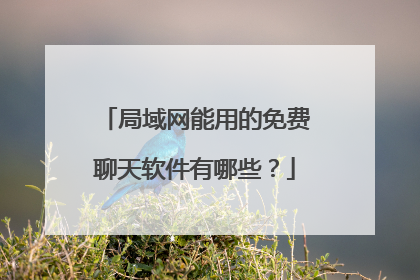 局域网能用的免费聊天软件有哪些?