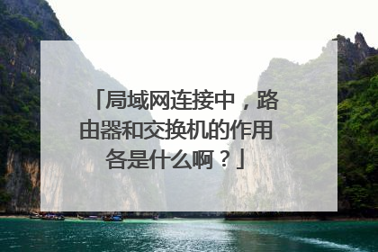 局域网连接中,路由器和交换机的作用各是什么啊?