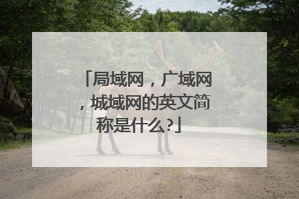 局域网，广域网，城域网的英文简称是什么?