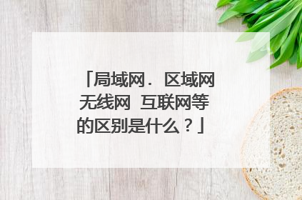 局域网. 区域网 无线网 互联网等的区别是什么？