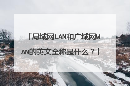 局域网LAN和广域网WAN的英文全称是什么?
