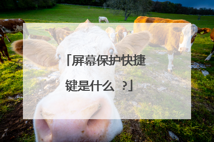 屏幕保护快捷键是什么 ?