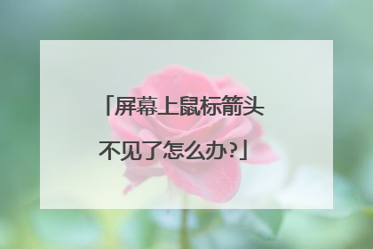 屏幕上鼠标箭头不见了怎么办?