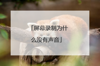 屏幕录制为什么没有声音