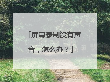 屏幕录制没有声音,怎么办?