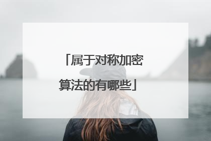 属于对称加密算法的有哪些