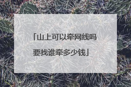 山上可以牵网线吗要找谁牵多少钱