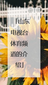 山东电视台体育频道的介绍