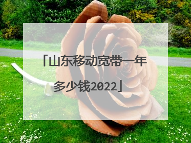 山东移动宽带一年多少钱2022