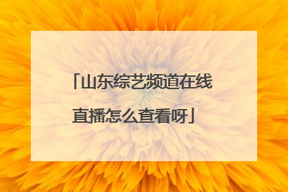 山东综艺频道在线直播怎么查看呀