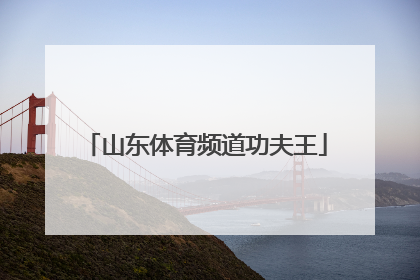 山东体育频道功夫王