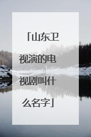 山东卫视演的电视剧叫什么名字