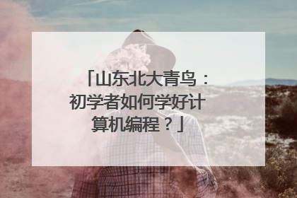 山东北大青鸟：初学者如何学好计算机编程？