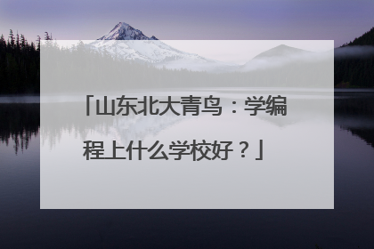山东北大青鸟：学编程上什么学校好？