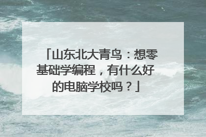 山东北大青鸟:想零基础学编程,有什么好的电脑学校吗?